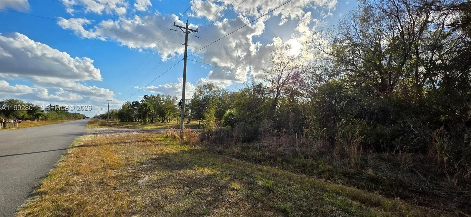 19205 NW 276 st, Okeechobee, FL 34972 photo 4