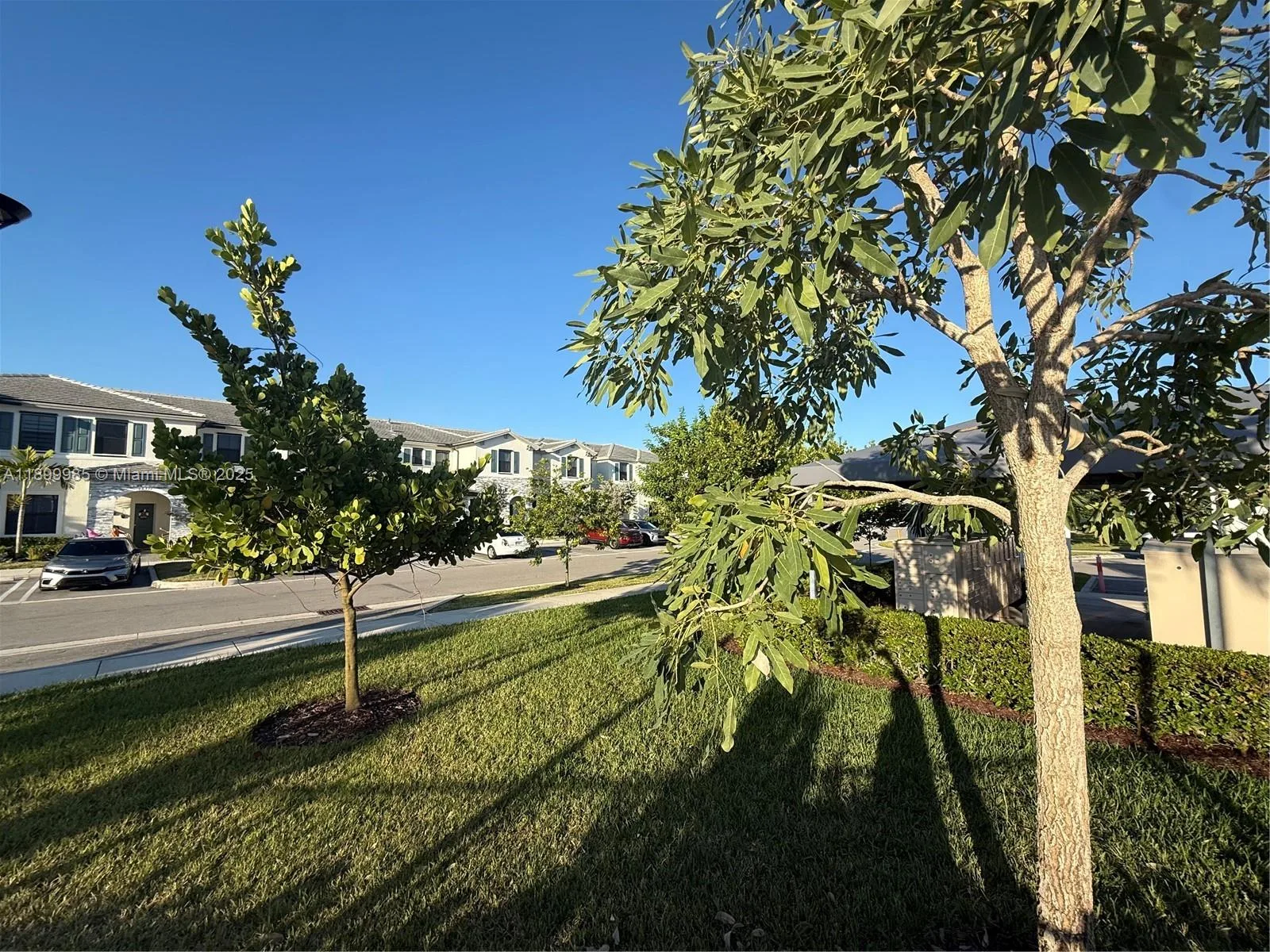 13322 SW 287th Ter, Homestead, FL 33033 photo 8