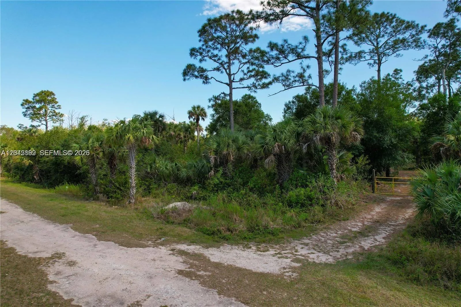 4180 36th Ave SE, Naples, FL 34120 photo 4