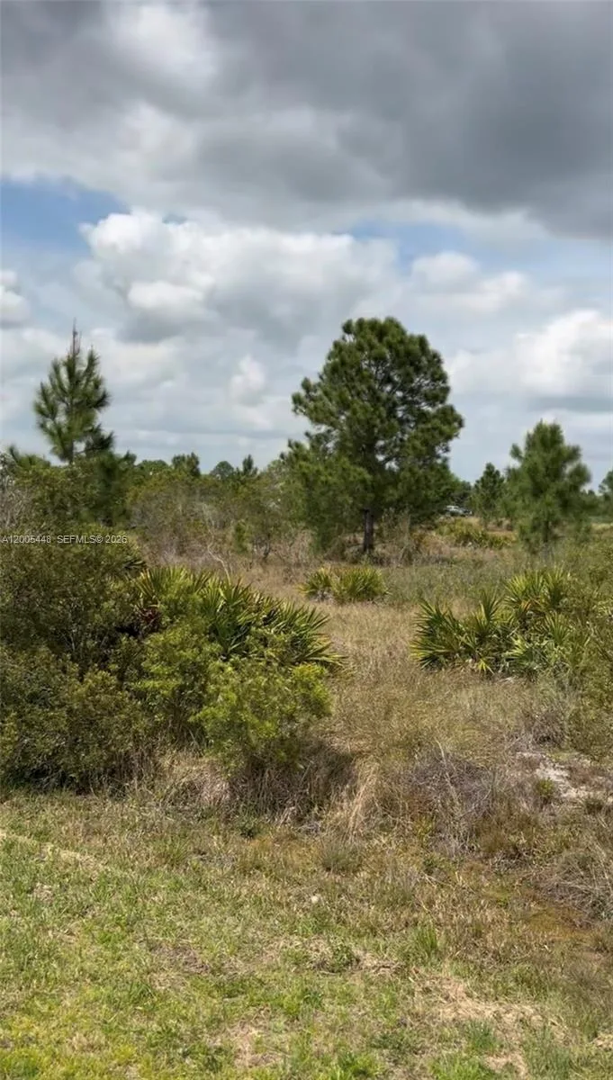 2458 W Butkus Rd, Avon Park, FL 33825