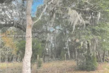 0 SW 79th, Other City - In The State Of Florida, FL 32618 photo 2