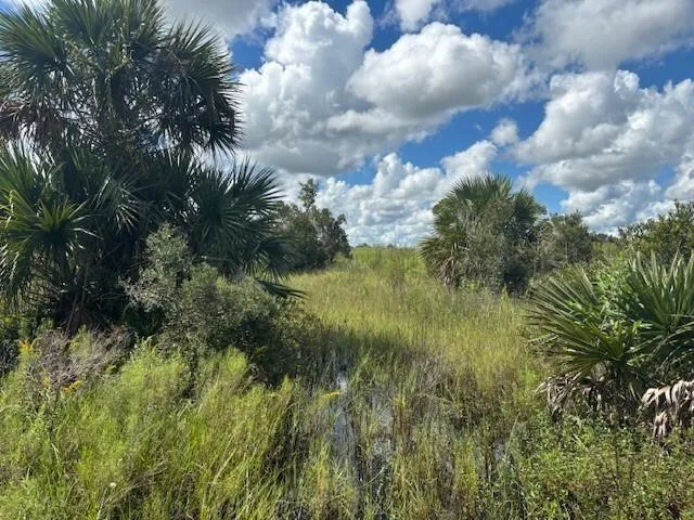 0 NW 308th Street, Okeechobee, FL 34972