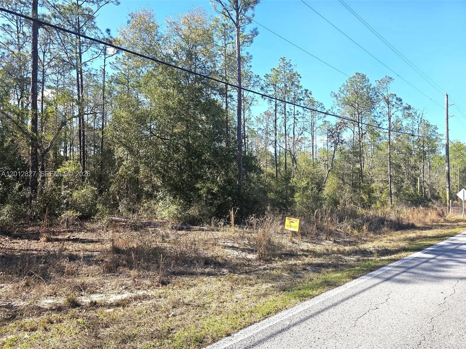 No situs SW Breezy Point DR., Other City - In The State Of Florida, FL 34431 photo 2