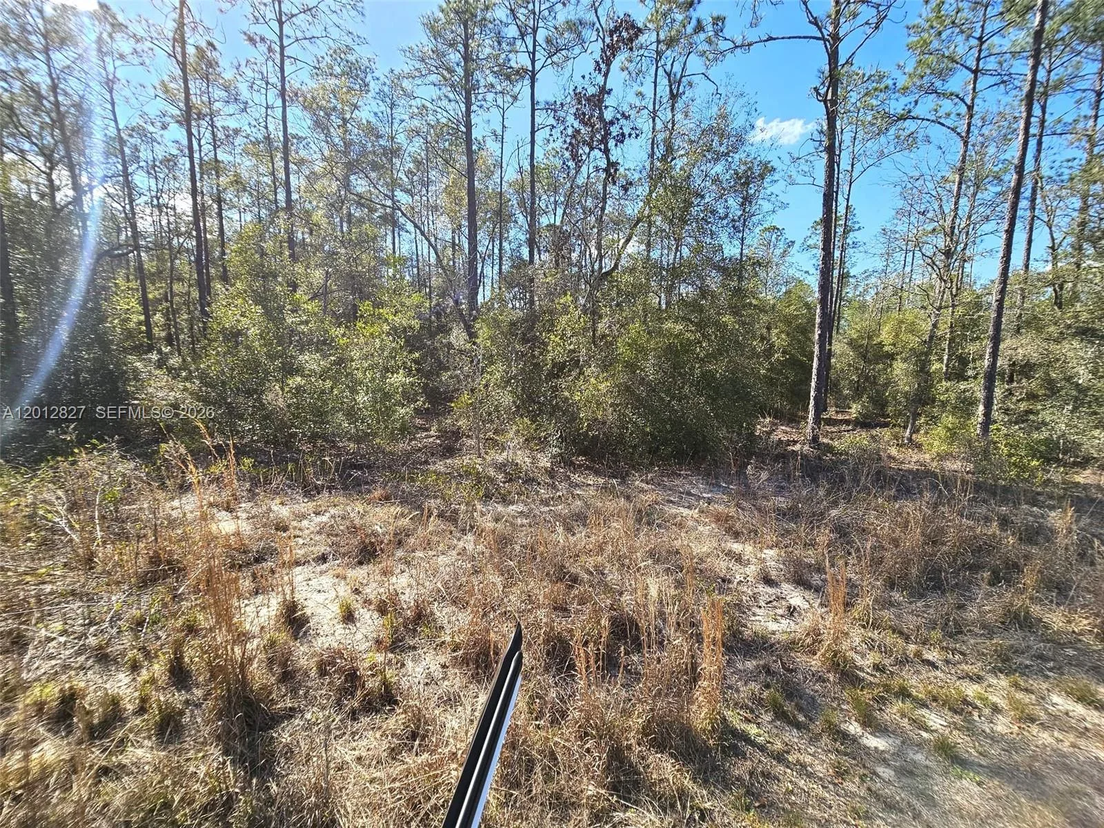 No situs SW Breezy Point DR., Other City - In The State Of Florida, FL 34431 photo 3