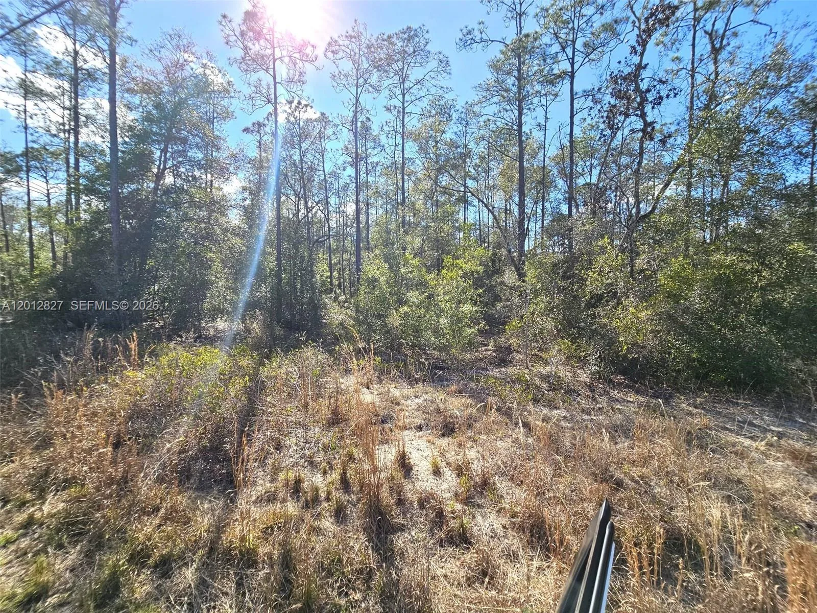No situs SW Breezy Point DR., Other City - In The State Of Florida, FL 34431 photo 4
