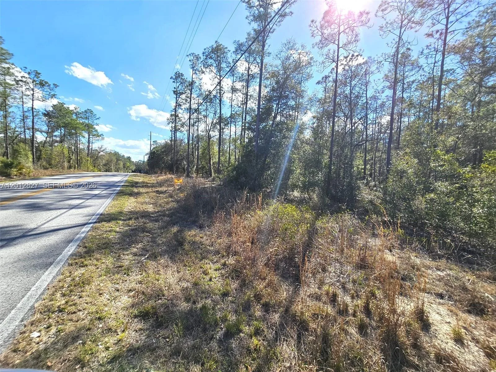 No situs SW Breezy Point DR., Other City - In The State Of Florida, FL 34431 photo 5