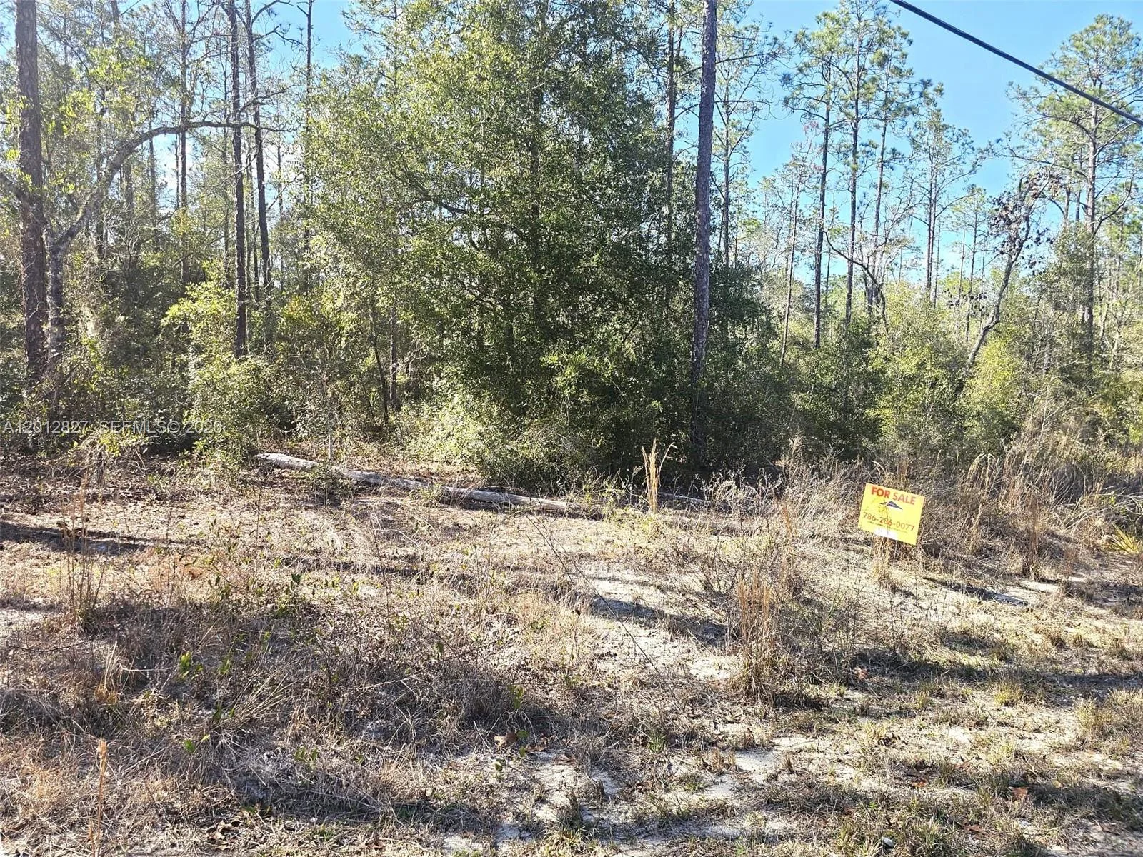 No situs SW Breezy Point DR., Other City - In The State Of Florida, FL 34431 photo 6