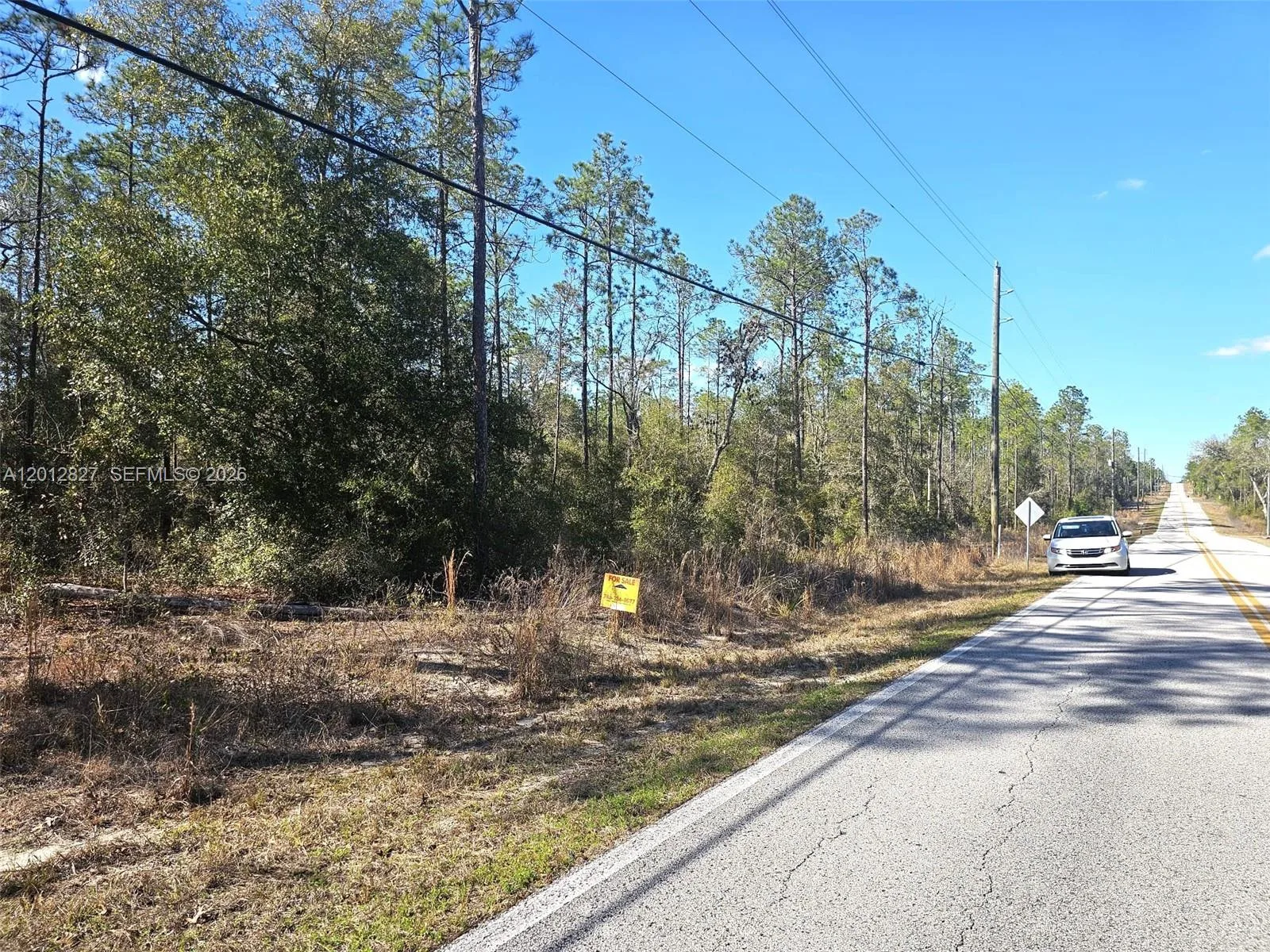 No situs SW Breezy Point DR., Other City - In The State Of Florida, FL 34431 photo 7