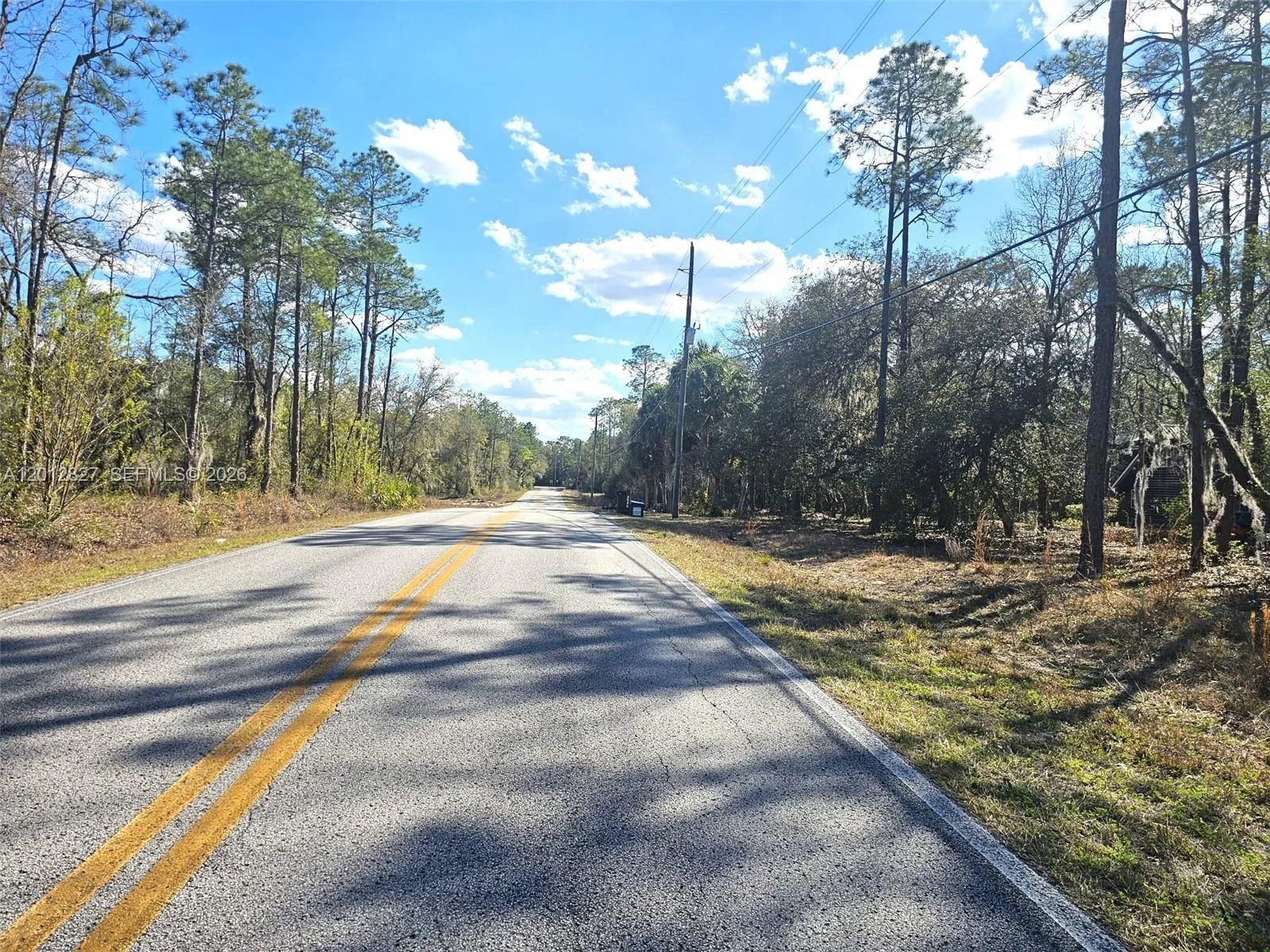 No situs SW Breezy Point DR., Other City - In The State Of Florida, FL 34431 photo 9