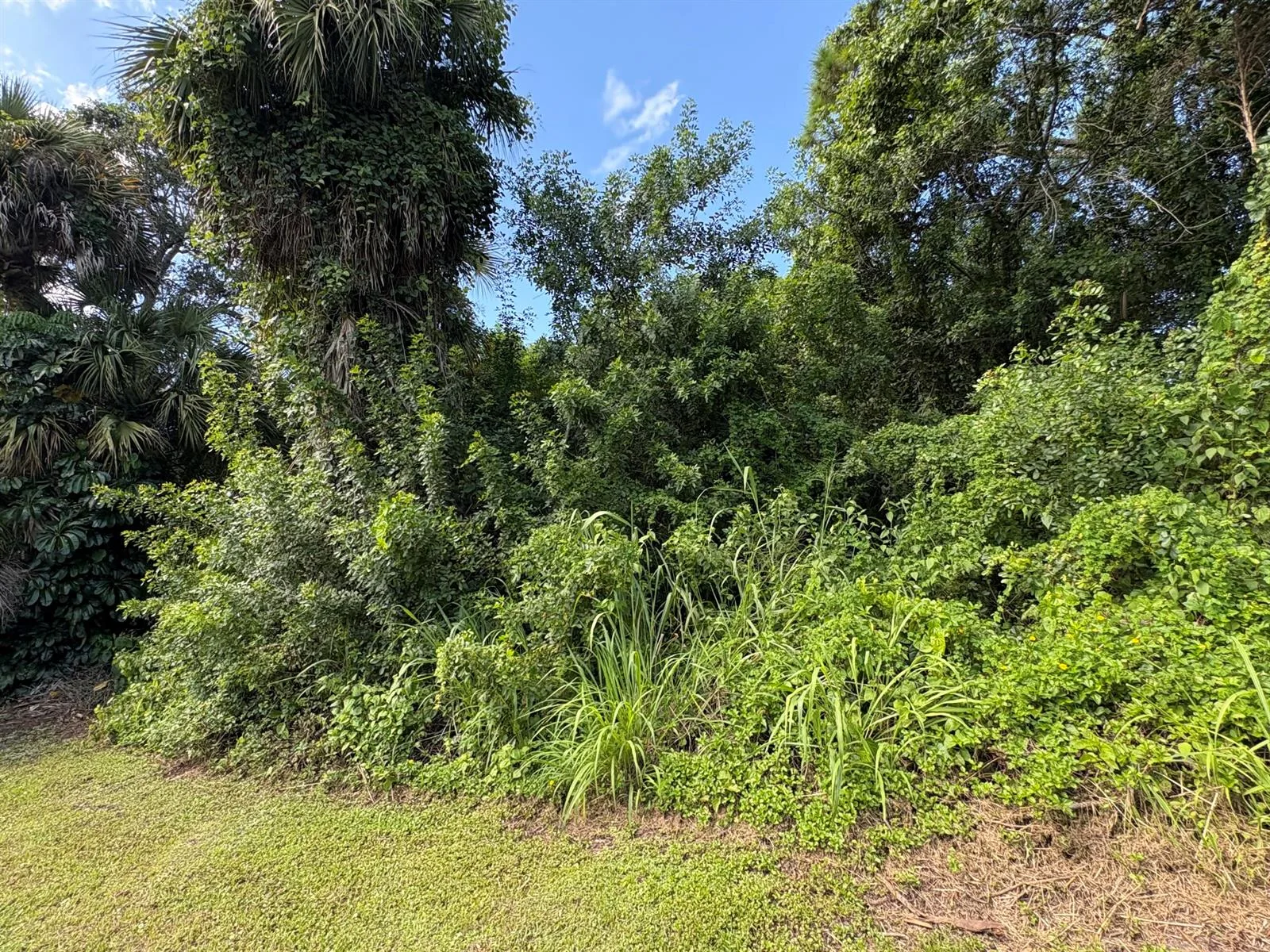 Tbd Santa Clara Boulevard, Port St. Lucie, FL 34951 — zdjęcie 3