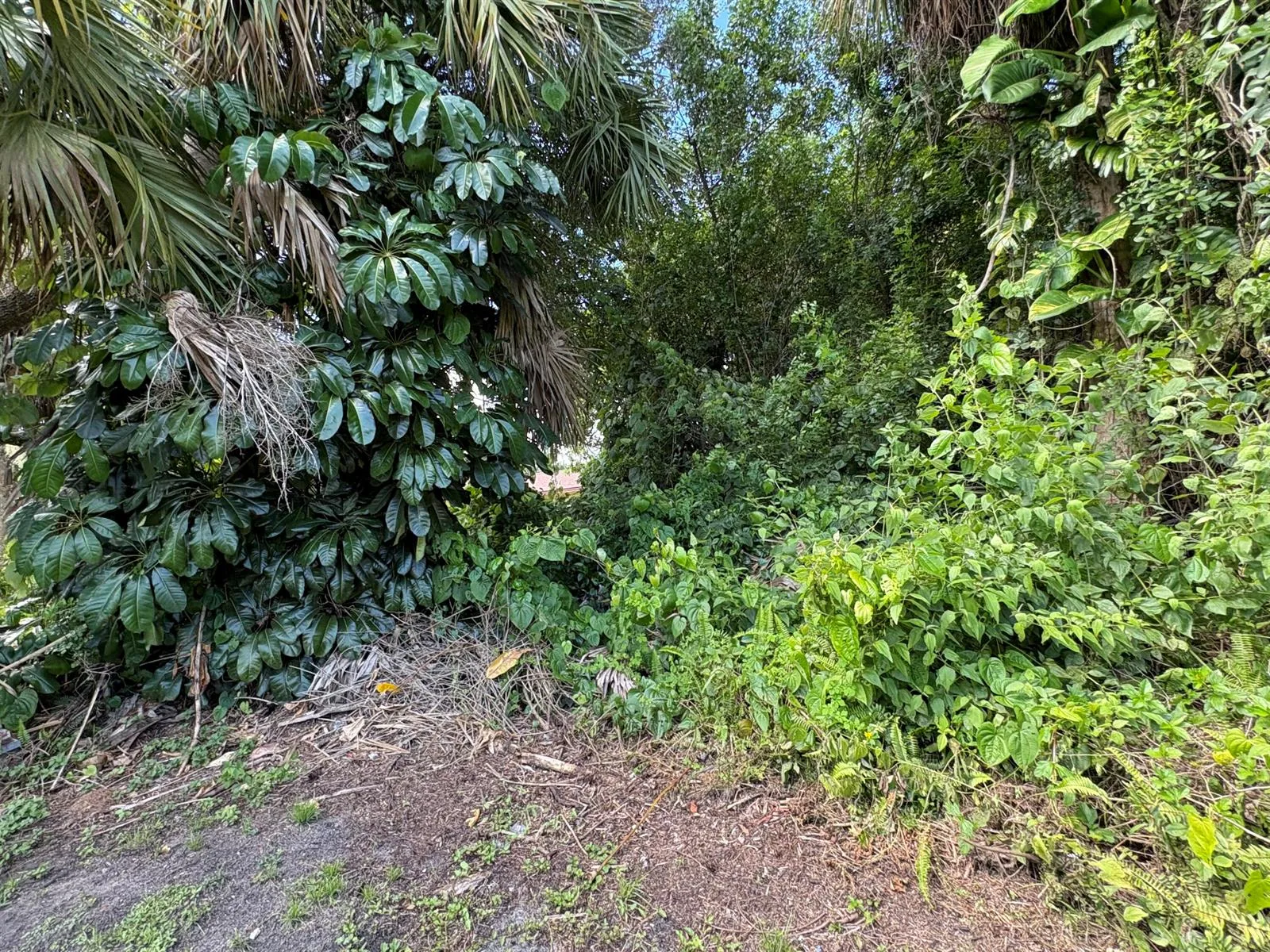 Tbd Santa Clara Boulevard, Port St. Lucie, FL 34951 — zdjęcie 5
