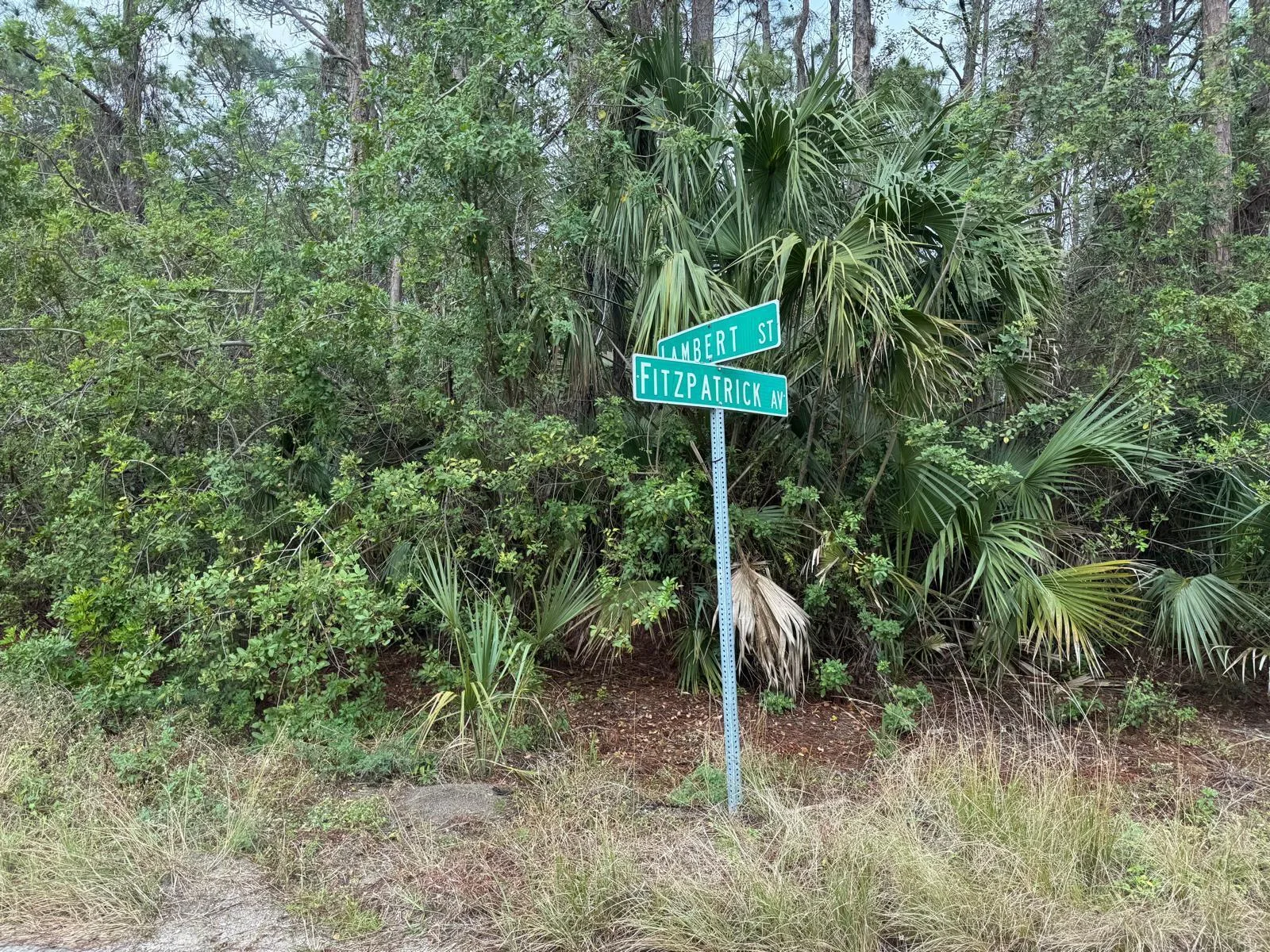 3395 Fitzpatrick Avenue SW, Palm Bay, FL 32908