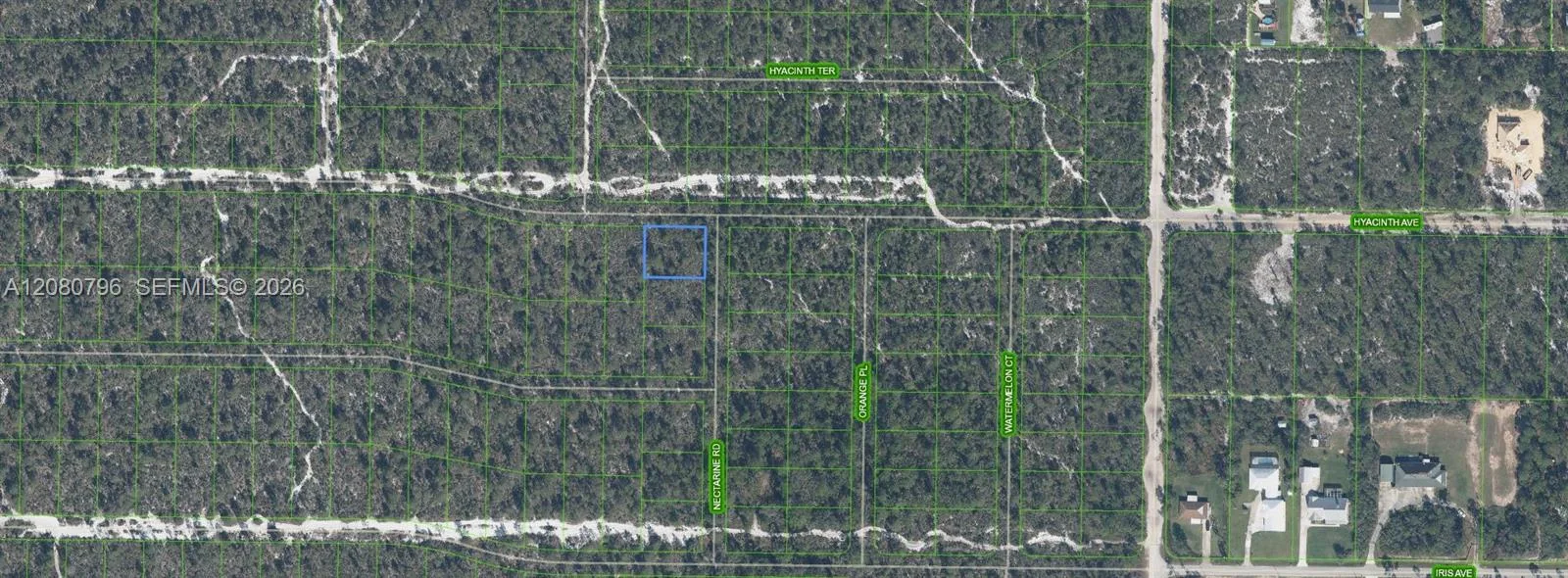 1307 Hyacinth Ave, Sebring, FL 32303