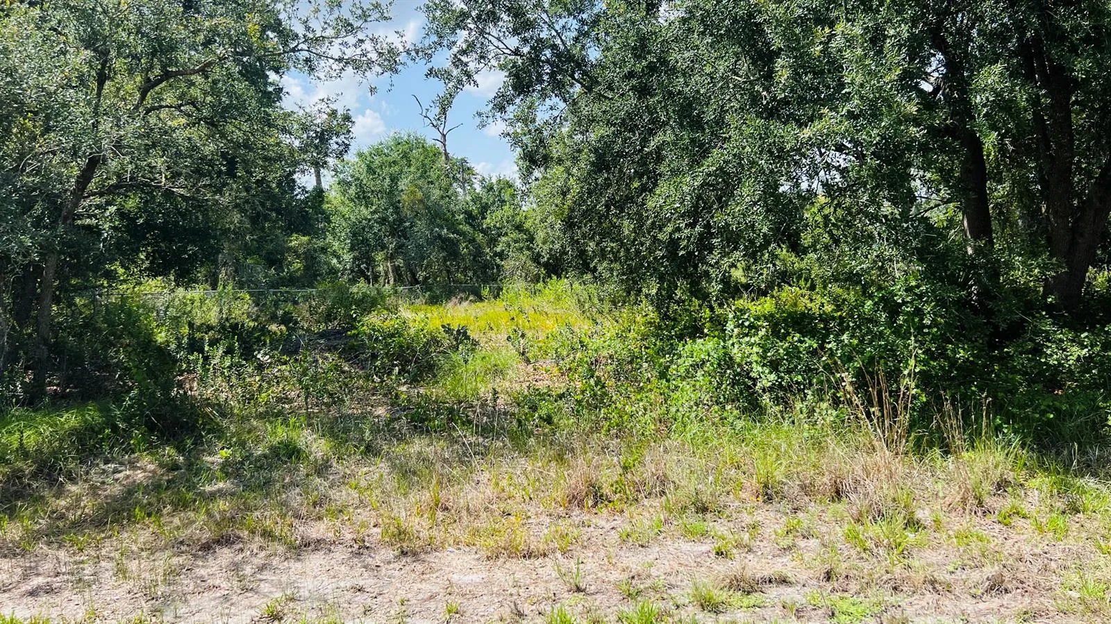 3155 MILLER Avenue, Lake Placid, FL 33852