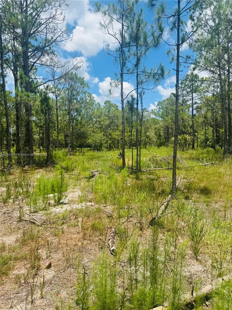 5120 PIONEER, Other City - In The State Of Florida, FL 33440 photo 10