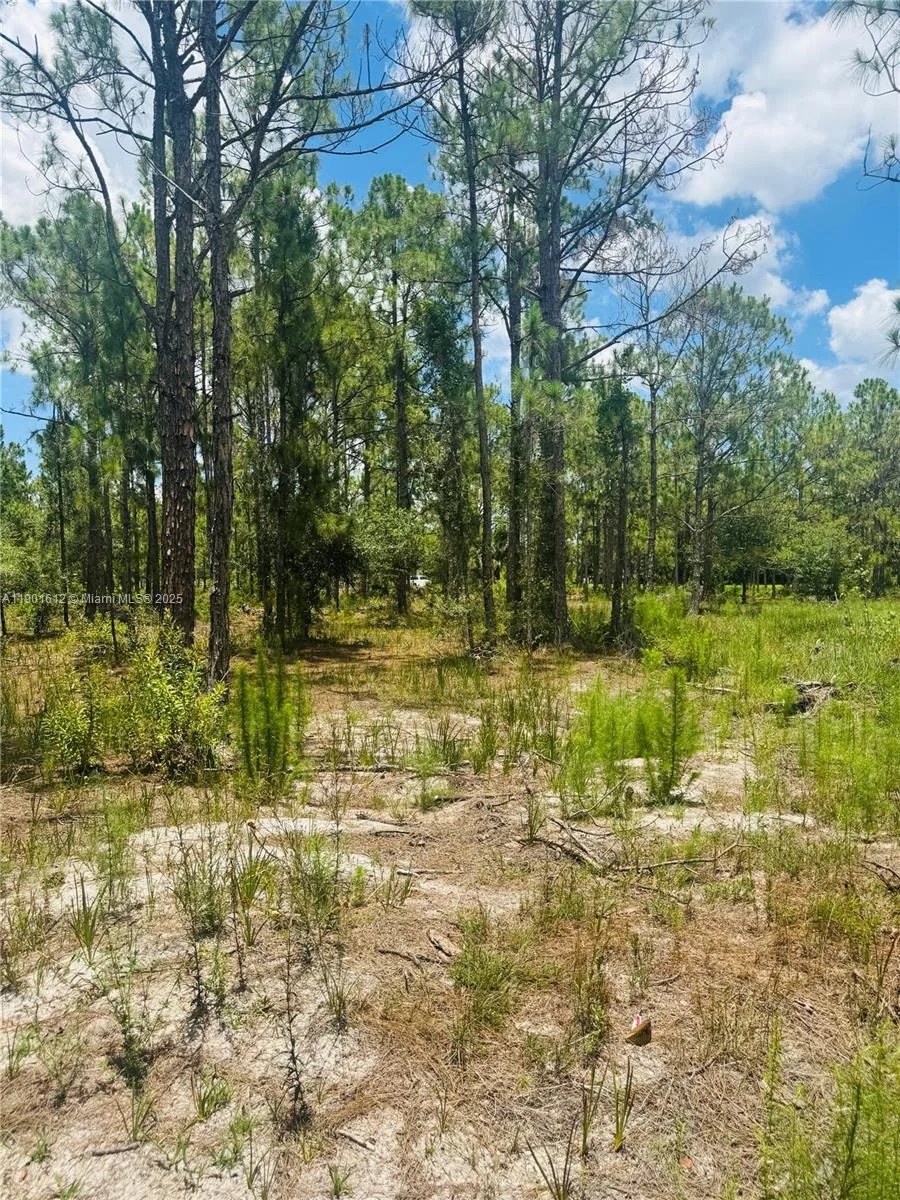 5120 PIONEER, Other City - In The State Of Florida, FL 33440 photo 11