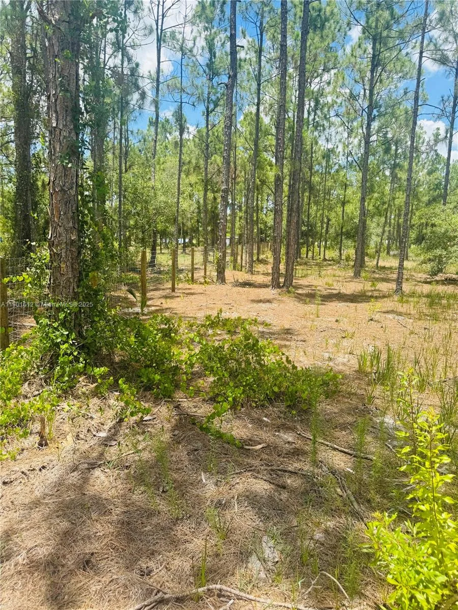 5120 PIONEER, Other City - In The State Of Florida, FL 33440 photo 12