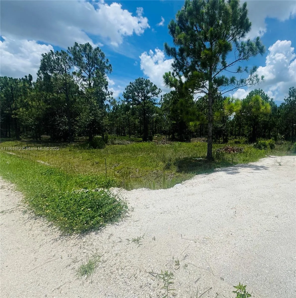 5120 PIONEER, Other City - In The State Of Florida, FL 33440 photo 2