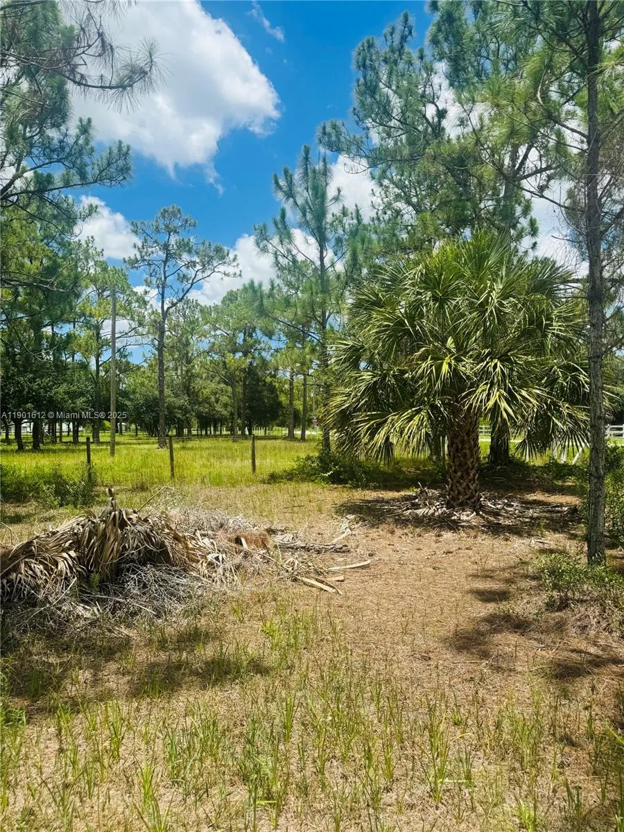 5120 PIONEER, Other City - In The State Of Florida, FL 33440 photo 5
