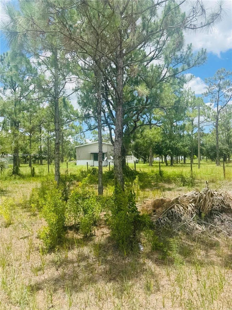 5120 PIONEER, Other City - In The State Of Florida, FL 33440 photo 6