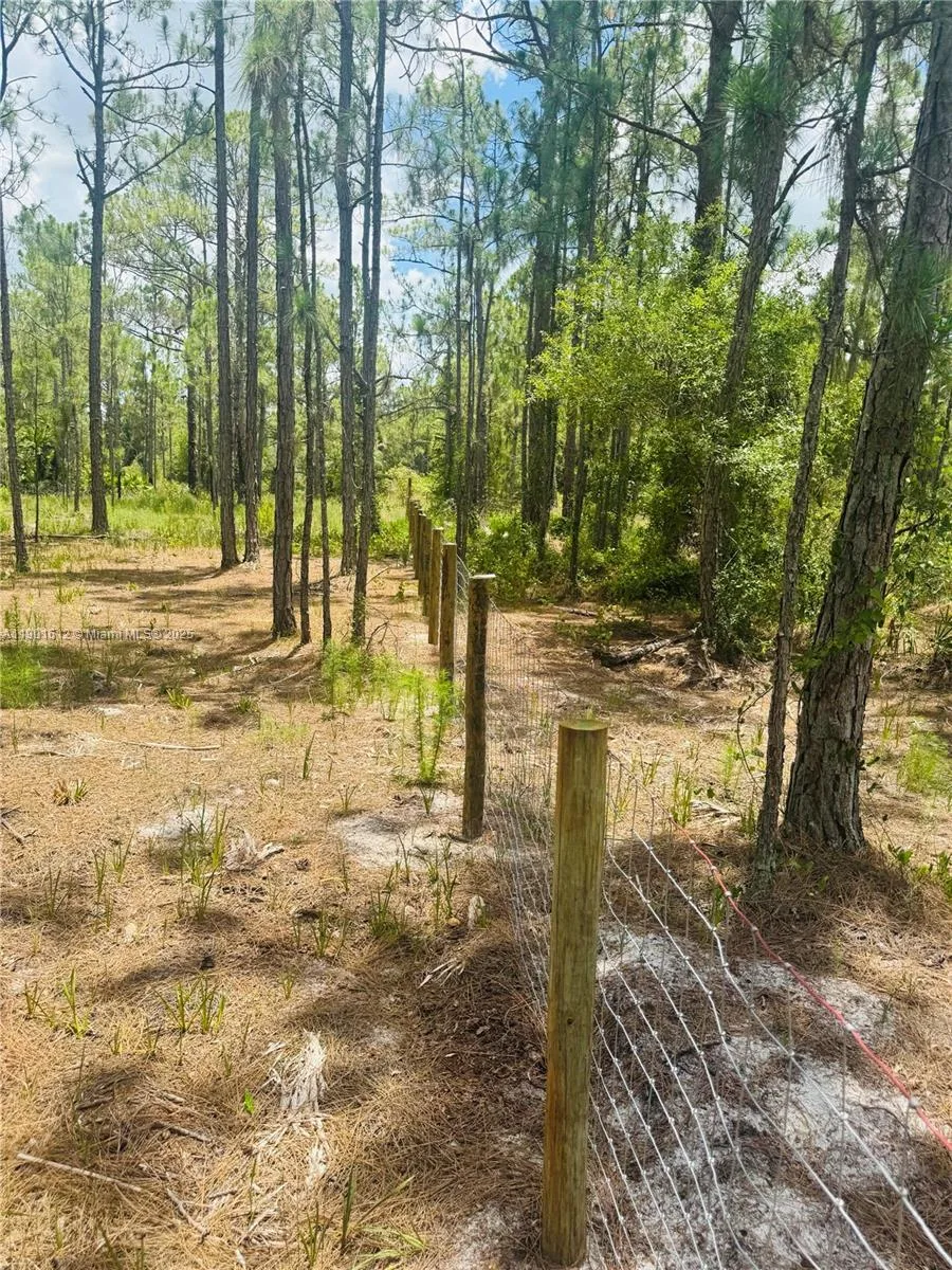 5120 PIONEER, Other City - In The State Of Florida, FL 33440 photo 9