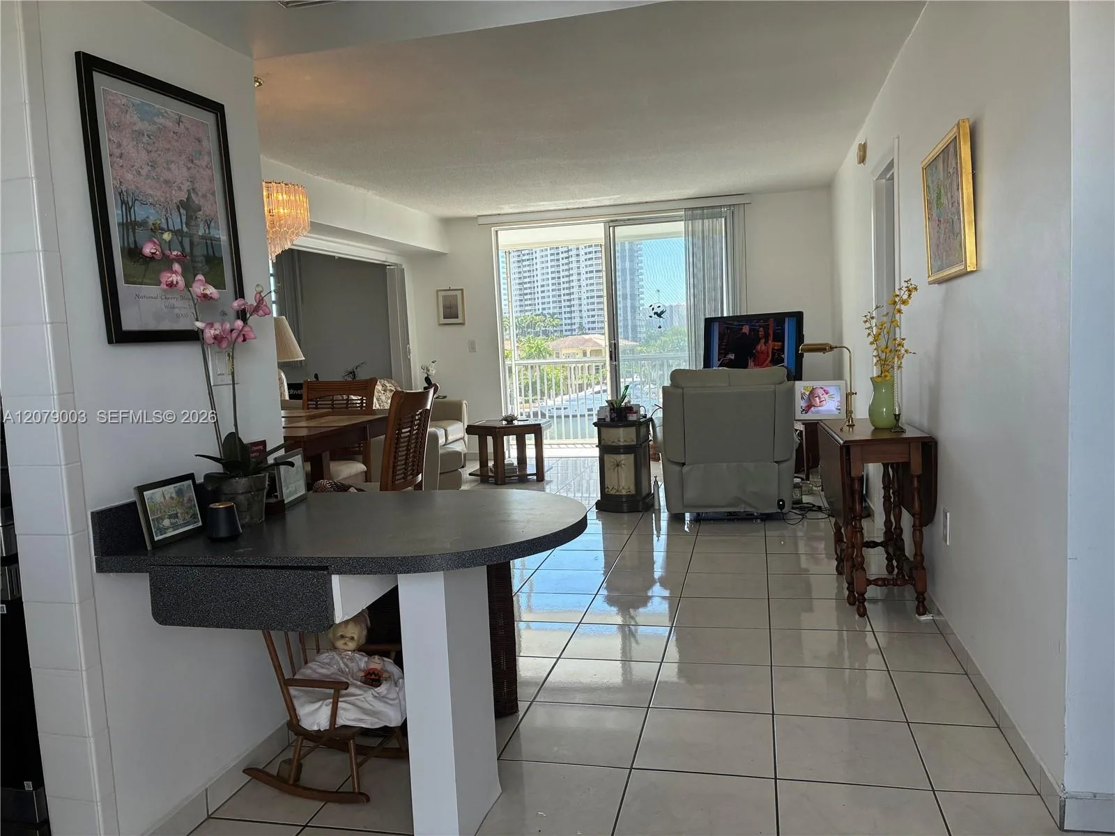 2980 E Point East Dr # D608, Aventura, FL 33160 photo 10