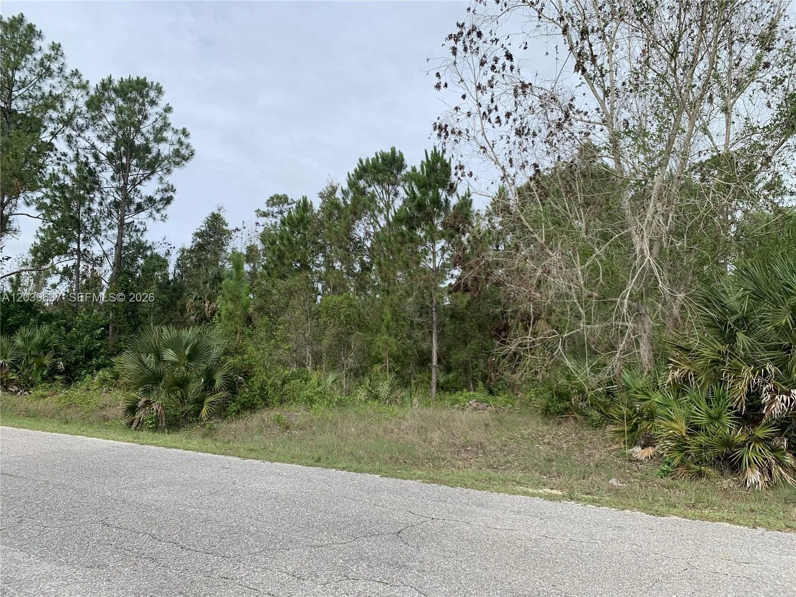 1019 Cleveland, Lehigh Acres, FL 33972
