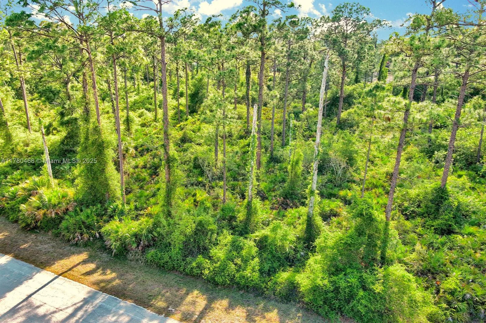 2019 COLUMBUS AVE, Lehigh Acres, FL 33920