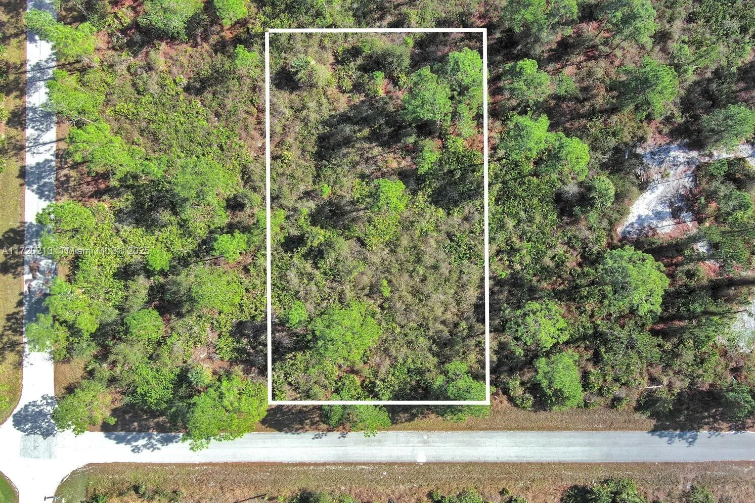 1020 Lake Ave, Lehigh Acres, FL 33972 photo 2