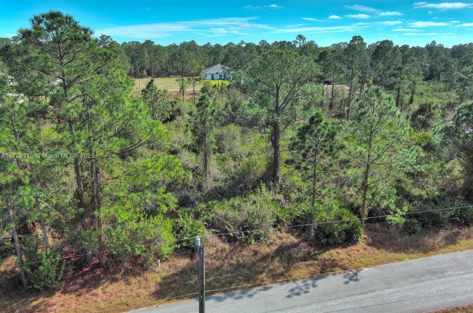 1020 Lake Ave, Lehigh Acres, FL 33972 photo 3