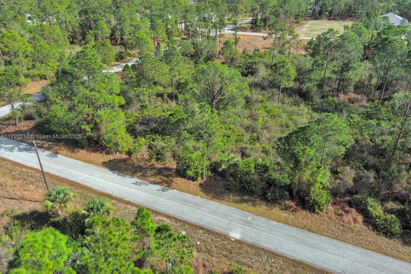 1020 Lake Ave, Lehigh Acres, FL 33972 photo 5
