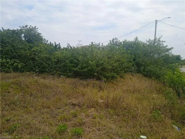 3418 SW 11th Street, Lehigh Acres, FL 33976 — zdjęcie 4