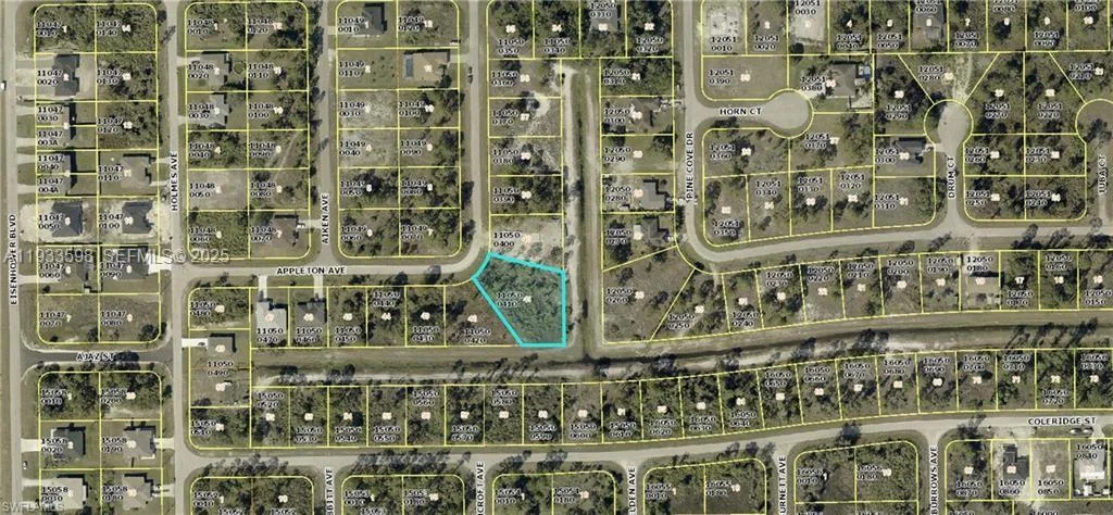 825 Appleton Ave, Fort Myers, FL 33974 photo 2