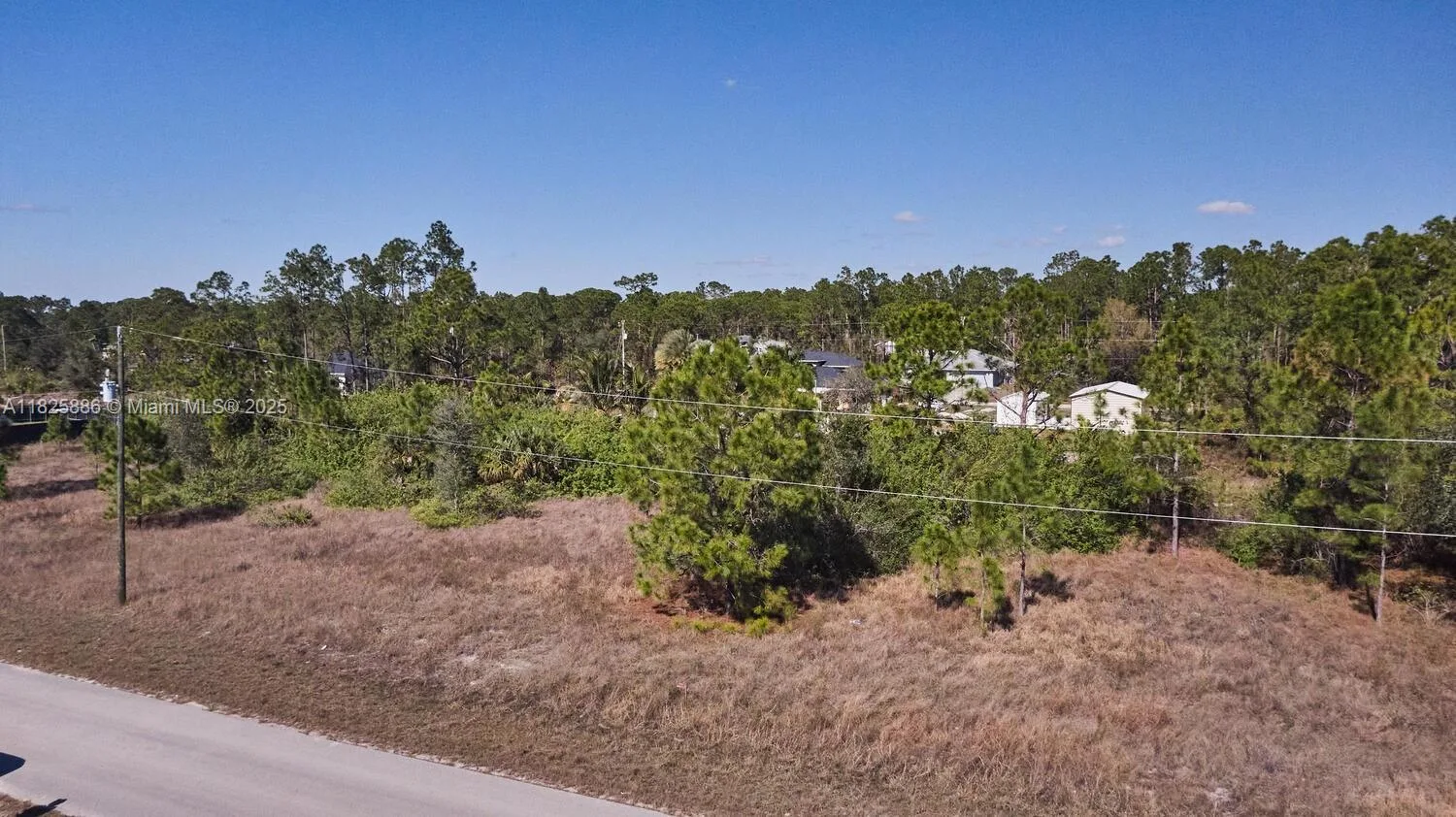 1025 E WINTERS STREET, Lehigh Acres, FL 33974 photo 10
