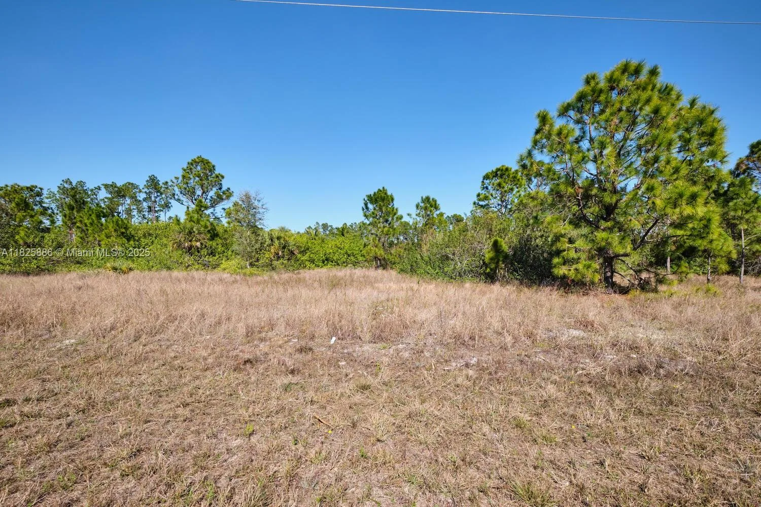 1025 E WINTERS STREET, Lehigh Acres, FL 33974 photo 2