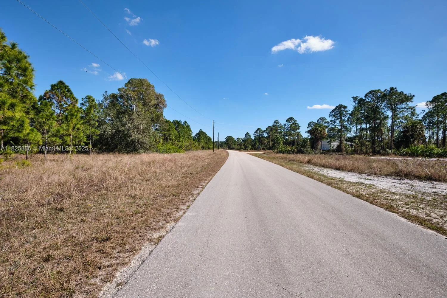 1025 E WINTERS STREET, Lehigh Acres, FL 33974 photo 4