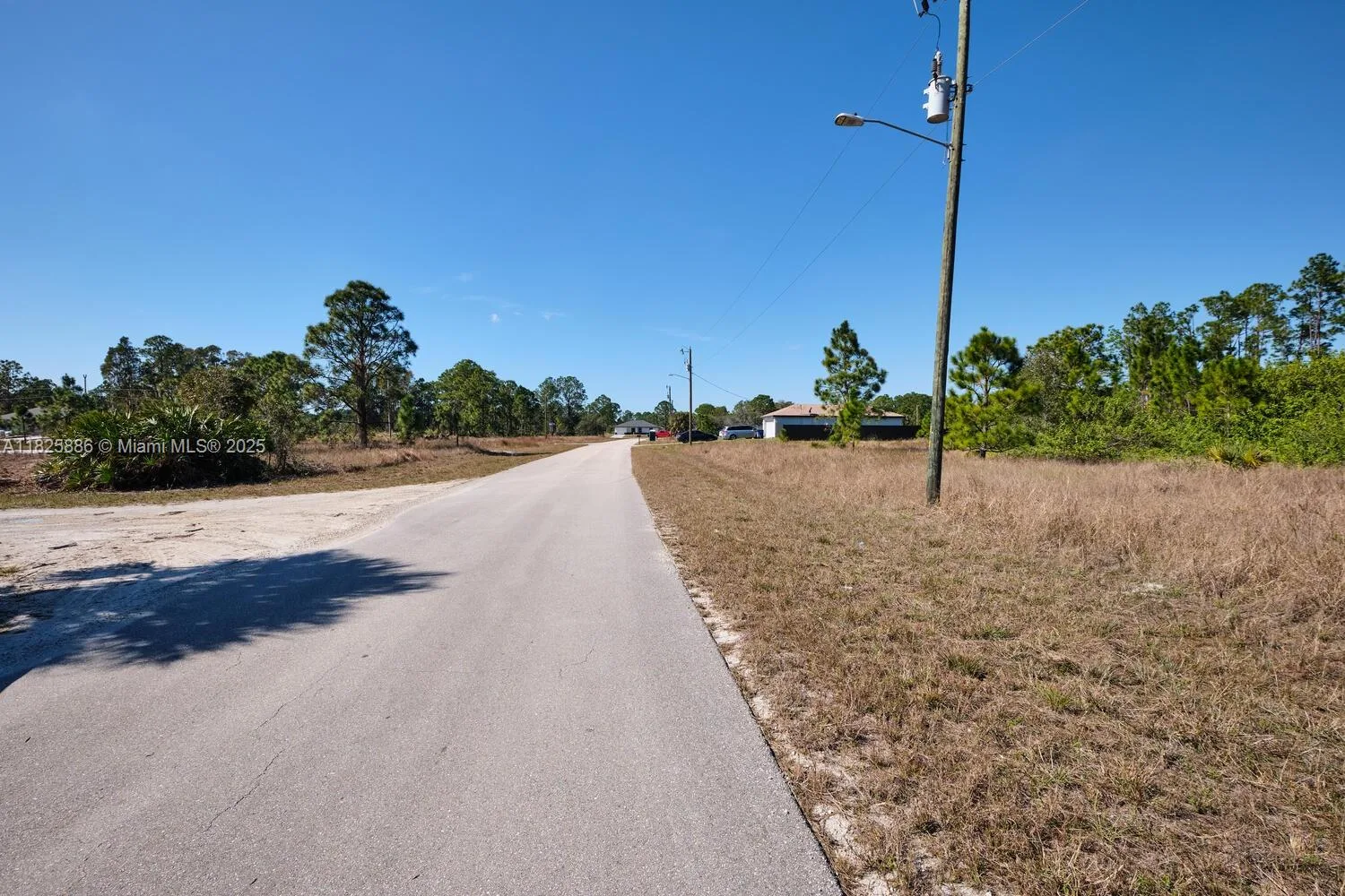 1025 E WINTERS STREET, Lehigh Acres, FL 33974 photo 6