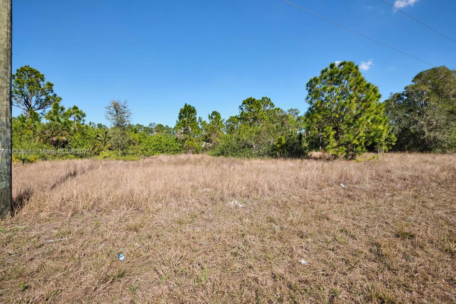 1025 E WINTERS STREET, Lehigh Acres, FL 33974 photo 7