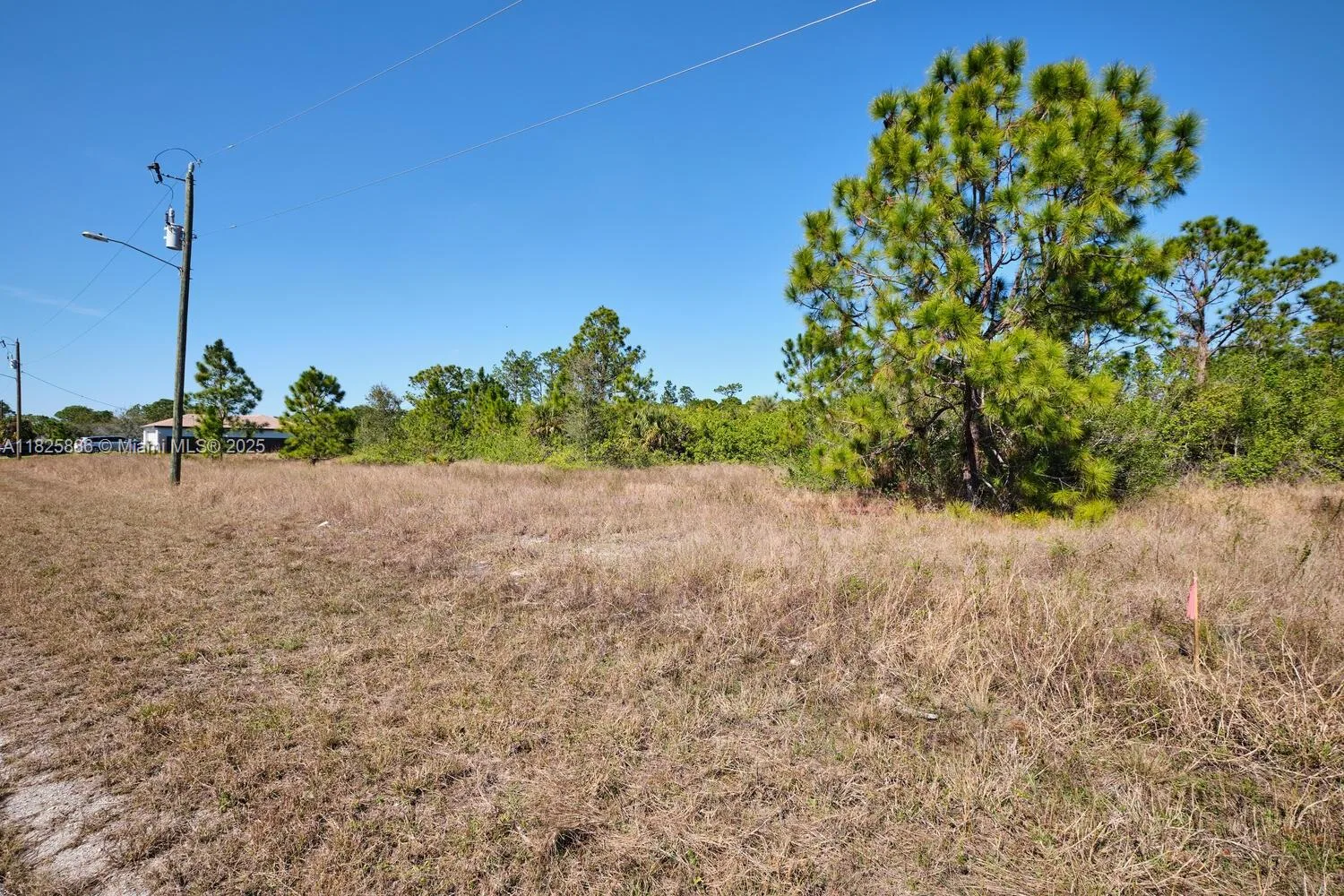 1025 E WINTERS STREET, Lehigh Acres, FL 33974 photo 9