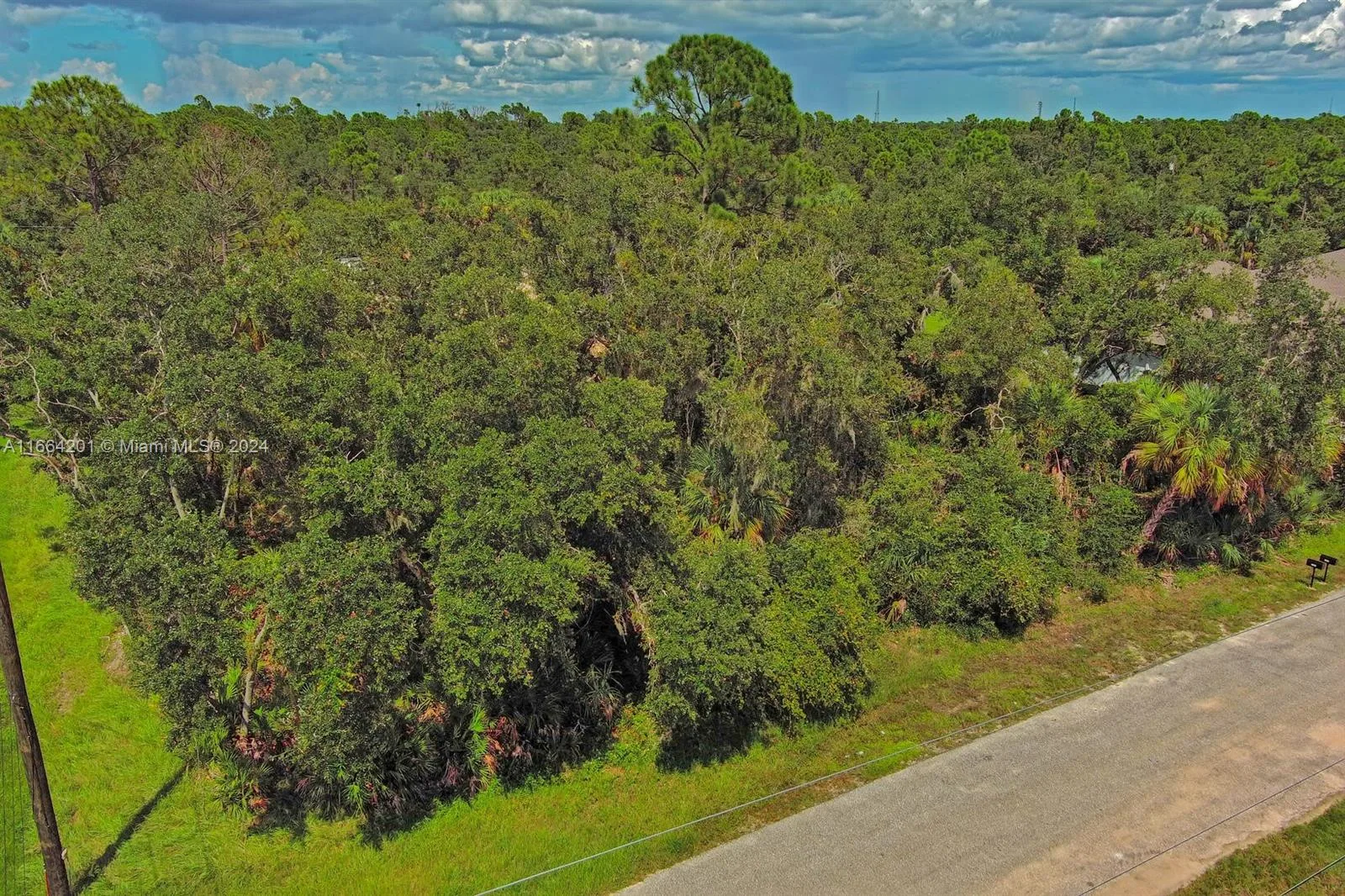 17124 Carleen Ave, Port Charlotte, FL 33948 photo 4