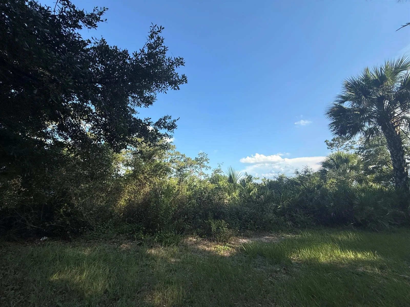 3349 NE 301st Boulevard, Okeechobee, FL 34972