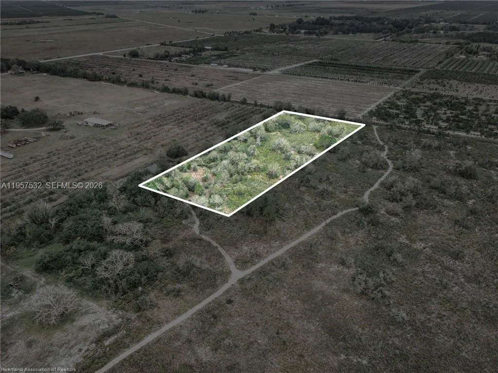 701 Jolly Lane, Lorida, FL 33857 photo 3