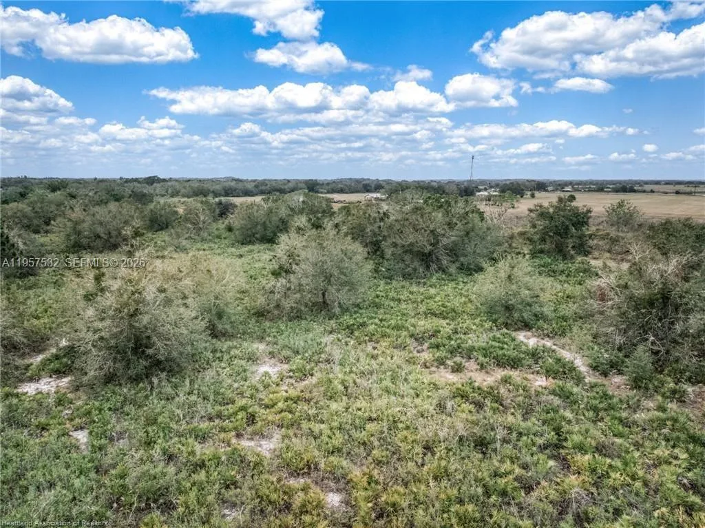 701 Jolly Lane, Lorida, FL 33857 photo 6