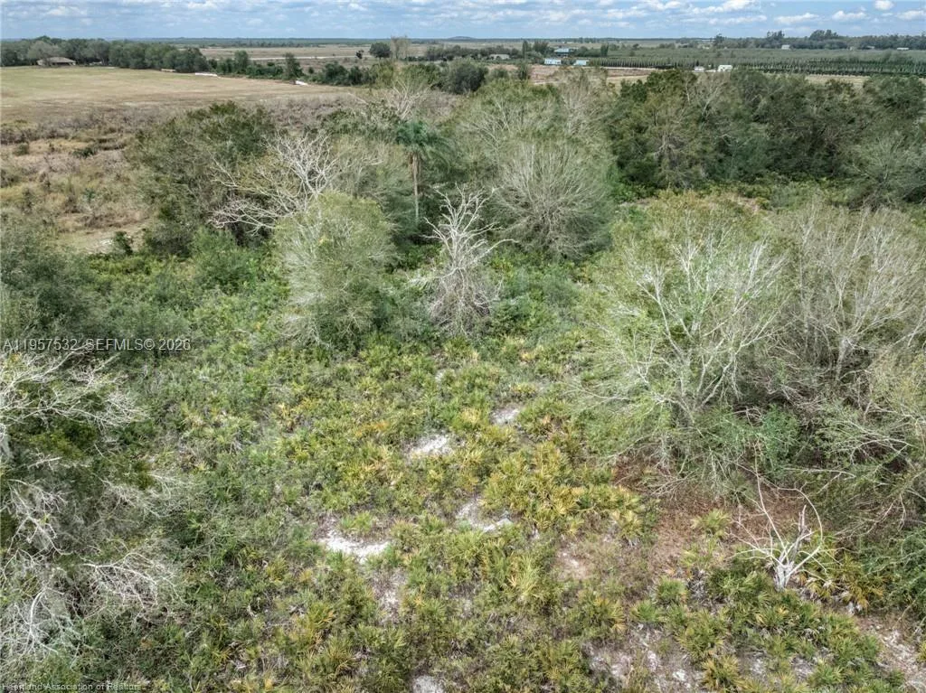 701 Jolly Lane, Lorida, FL 33857 photo 9