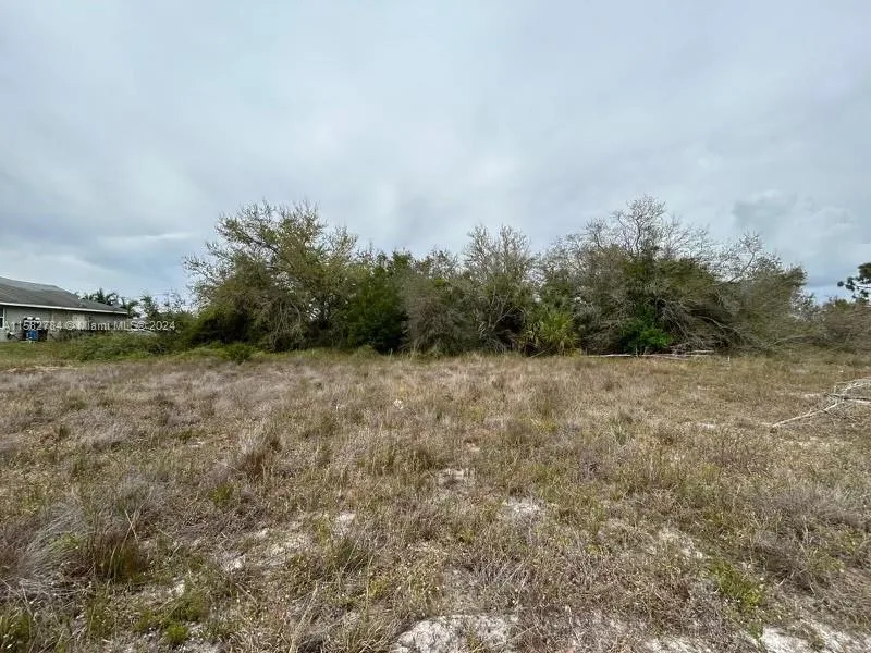 2707 SW 39, Lehigh Acres, FL 33976 photo 3