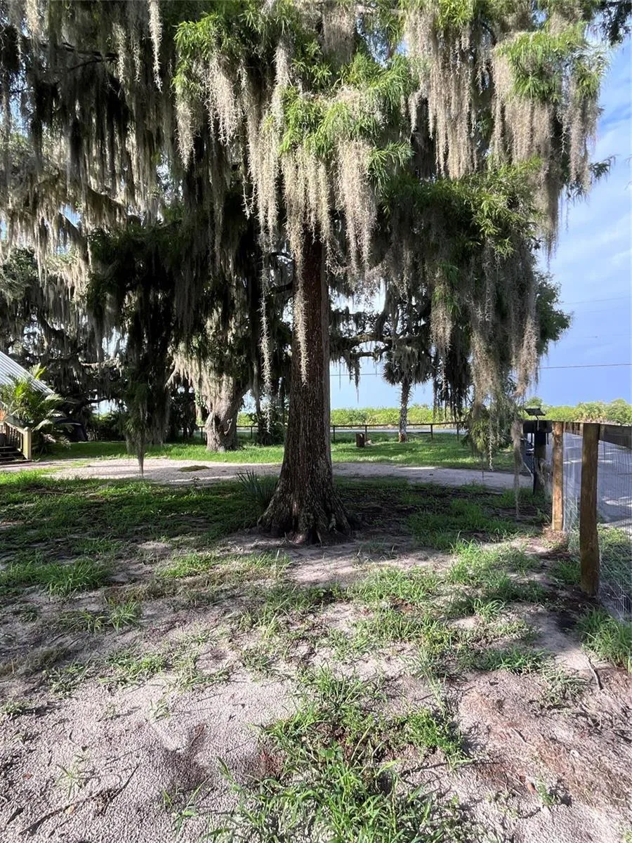 11793 Us Highway 441, Okeechobee, FL 34974 photo 2