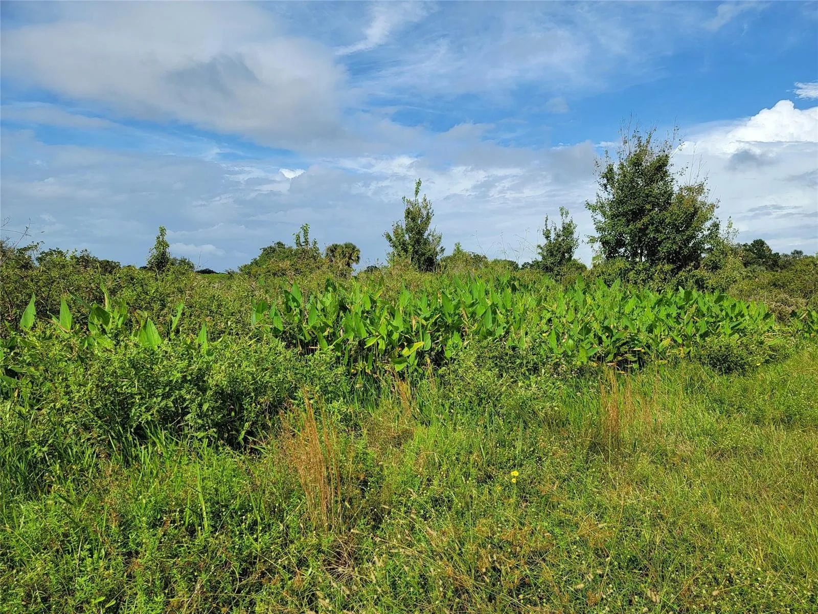 17275 NW 260th Street, Okeechobee, FL 34972