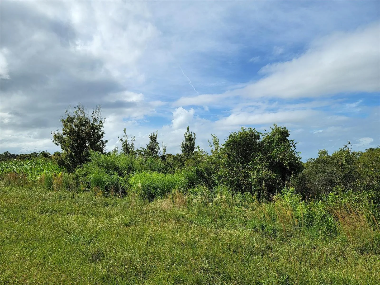 17275 NW 260th Street, Okeechobee, FL 34972 photo 2