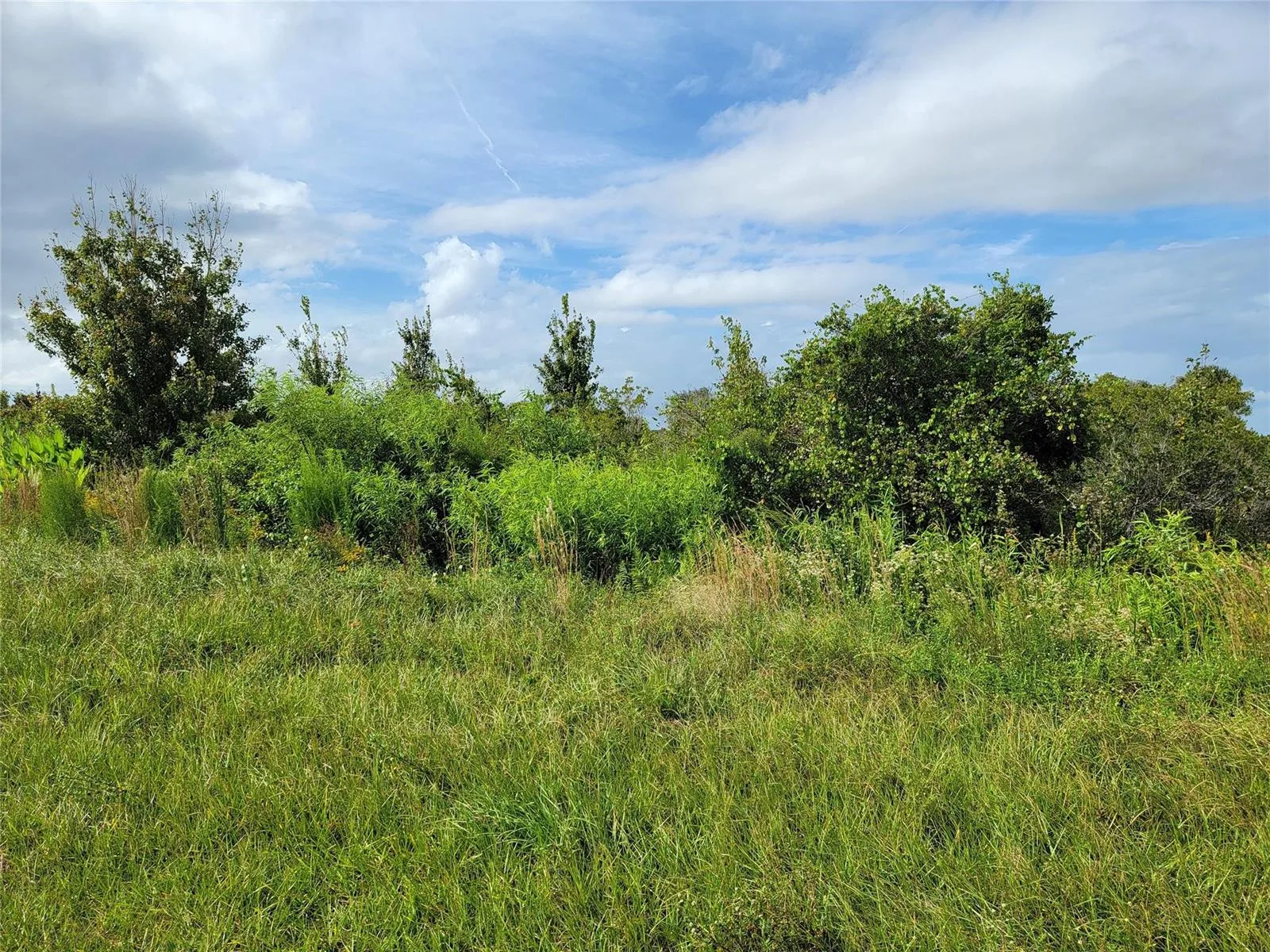 17275 NW 260th Street, Okeechobee, FL 34972 photo 3