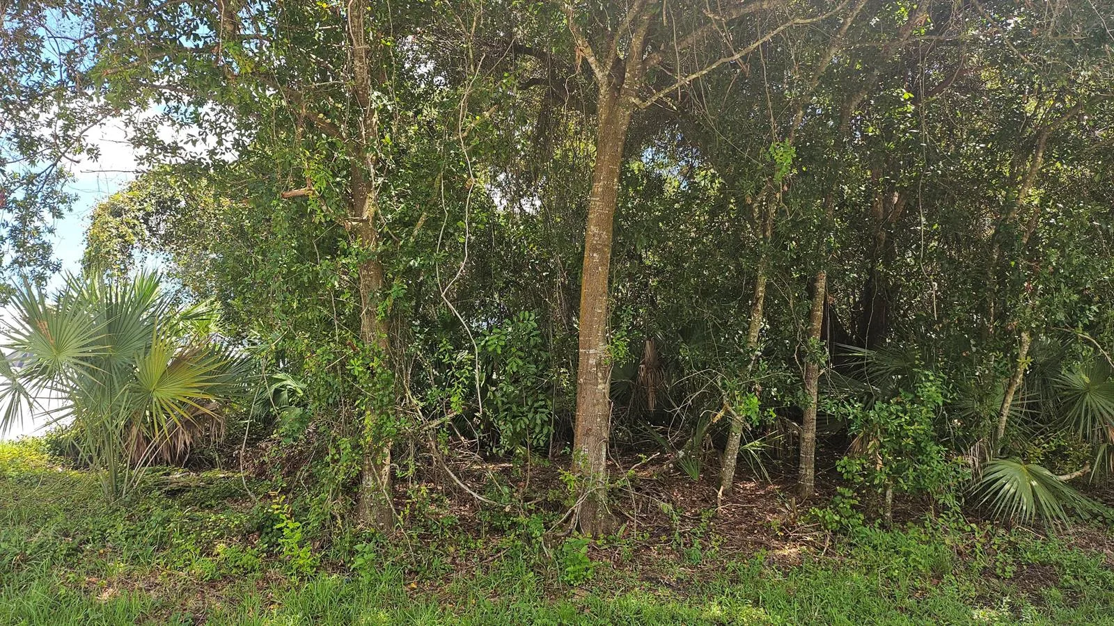 1743 SW Day Street, Port St. Lucie, FL 34953